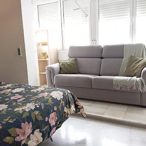 https://triana-boho-azotea-tico-la-galatea.es-andalucia.com